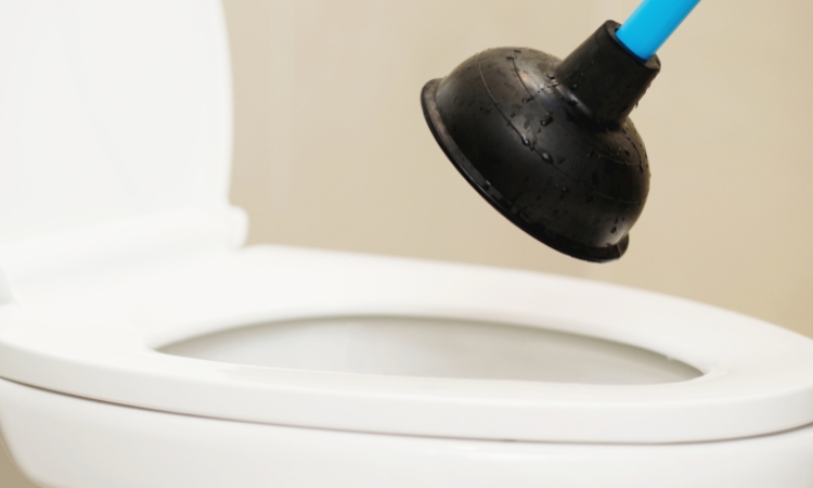 Toilet Plumbing problems