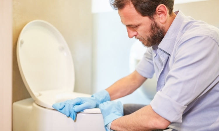 how to Replace a toilet seat