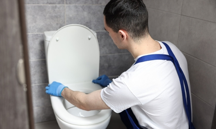 How to fix a Toilet Bowl Leak