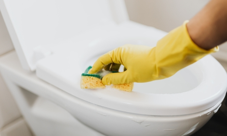 fixing a Toilet Bowl Leak