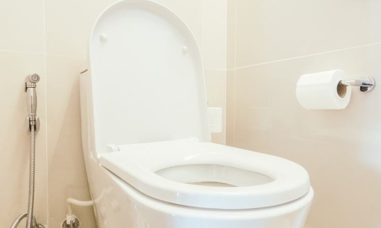 install soft close toilet seat