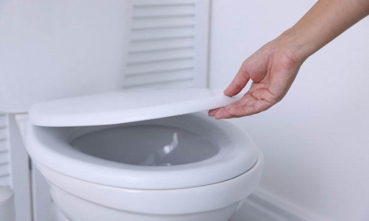 soft close toilet seat