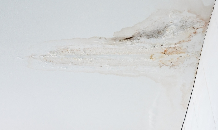 Causes of Water Stains on Ceiling