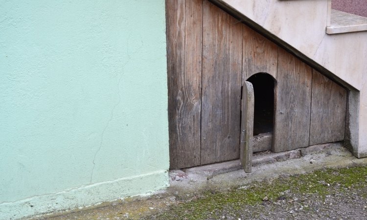 Install a Cat Flap in a Wooden Door